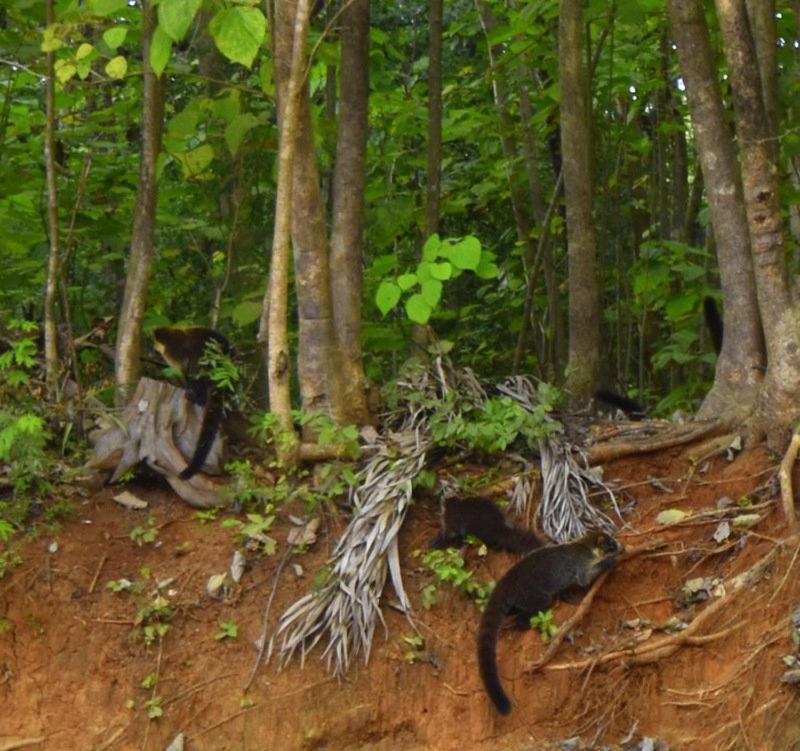 Villas Punta India Ostional Wildlife Refuge 외부 사진