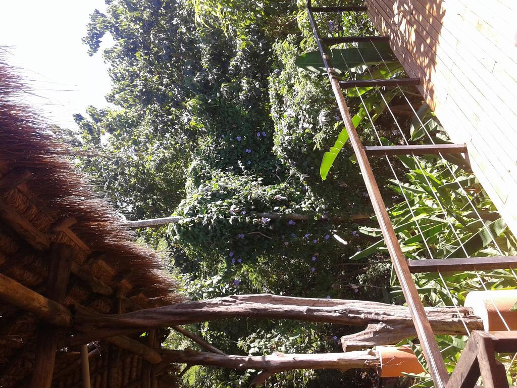 Villas Punta India Ostional Wildlife Refuge 객실 사진